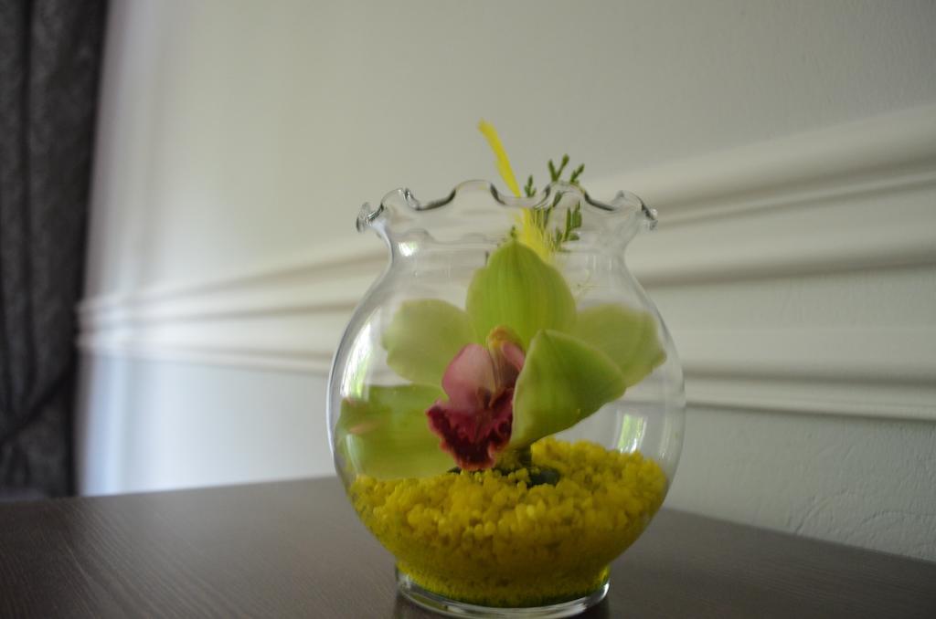 Orchidea Centrum